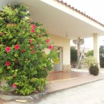 Chalet en venta en Picassent